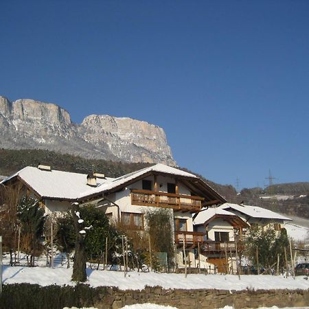 Gfillhof Ferienwohnung 1 Appiano Sulla Strada Del Vino Bagian luar foto
