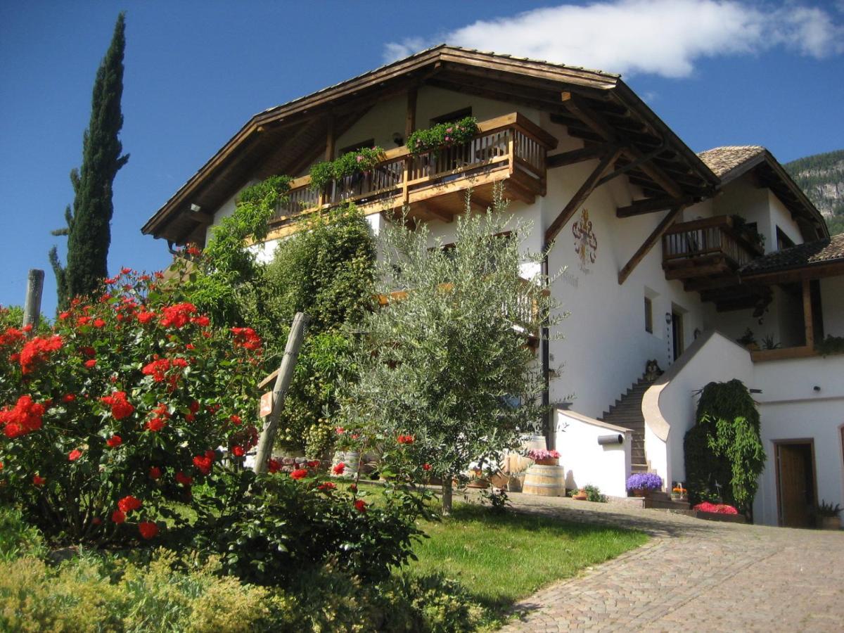 Gfillhof Ferienwohnung 1 Appiano Sulla Strada Del Vino Bagian luar foto