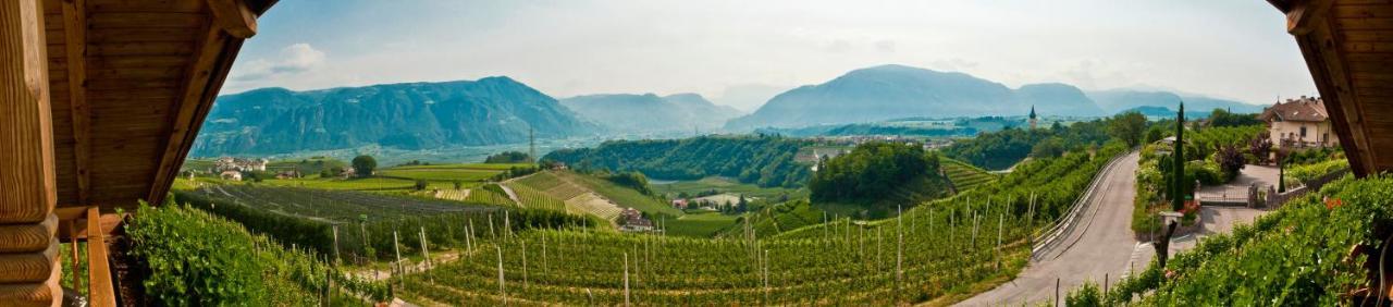 Gfillhof Ferienwohnung 1 Appiano Sulla Strada Del Vino Bagian luar foto